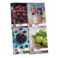 Herlitz A5-ös kockás füzet 32 lapos - Fruit füzet