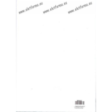 Herlitz Műszaki rajzlap/rajzkarton, A4, 10 ív (190 gr) - Herlitz füzet