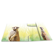 HERMA Gumis mappa PP Herma A/4 Szurikáták mappa