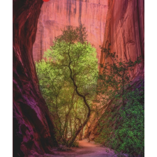 Heye puzzle természet ereje: éneklő kanyon 1000 darabos puzzle, kirakós