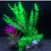  Hínár és tengerifű együttes, akváriumi műnövény talpán apró levelekkel 17 cm