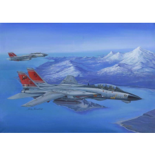  Hobby Boss F-14D Super Tomcat 1:48 (80368) makett