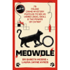 Hodder &amp; Stoughton Meowdle | Laura Jayne Ayres