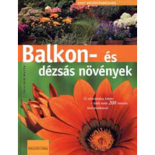 Holló és Társa Balkon és dézsás növények - Nagy növénytanácsadó antikvárium - használt könyv