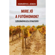 Horváth E. János - Mire jó a futóhomok? egyéb könyv