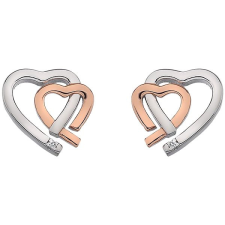 Hot Diamonds Love DE532 (Ag 925/1000 2,31g) fülbevaló