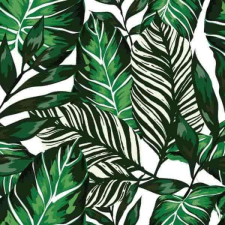 House plants bútorfólia öntapadós tapéta 45cmx2m tapéta, díszléc és más dekoráció