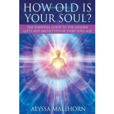  How Old Is Your Soul? – Alyssa Malehorn idegen nyelvű könyv