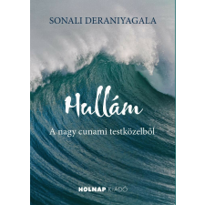  Hullám regény