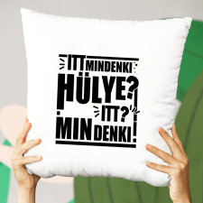  Humoros párna - Mindenki hülye lakástextília
