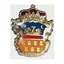 Hunbolt Erdély címer jelvény (aranyozott) ajándéktárgy