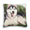  Husky mintás párna, 45 x 45 cm