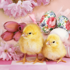  Húsvét Lovely Chickens szalvéta 20 db-os 33x33 cm party kellék
