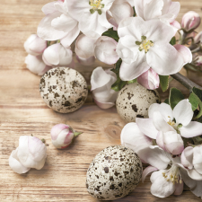 Húsvét Quail Eggs szalvéta 20 db-os 33x33 cm party kellék
