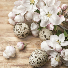 Húsvét Quail Eggs szalvéta 20 db-os 33x33 cm papírárú, csomagoló és tárolóeszköz
