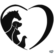I Love kutya matrica matrica