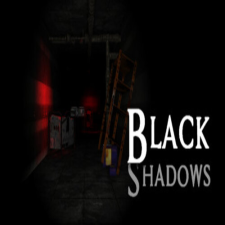 IceGames Studios Blackshadows (PC - Steam elektronikus játék licensz) videójáték