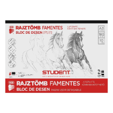 ICO Skiccfüzet ICO Student A/3 10 lapos füzet