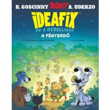 Ideafix 6. - A fényerdő gyermek- és ifjúsági könyv