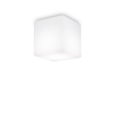 IDEAL LUX Luna fehér kültéri mennyezeti lámpa/fali lámpa (IDE-213200) G9 1 izzós IP44 kültéri világítás