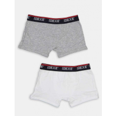  IDEXE 2 db boxer