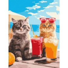 IDEYKA : Festés számok szerint, Cicanyaralás - 30 x 40 cm kreatív és készségfejlesztő
