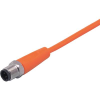 ifm Electronic EVT073 Összekötő vezeték Dugó, egyenes 10 m Pólusszám: 4 1 db (EVT073)