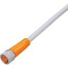 ifm Electronic EVW070 Csatlakozóvezeték Alj, egyenes 10 m Pólusszám: 3 1 db (EVW070)