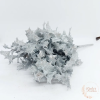  Ilex csokor