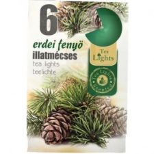  Illatmécses 6 db - Erdei fenyő mécses