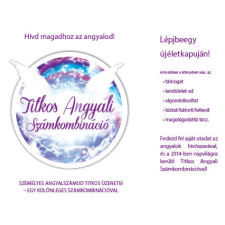 ILLIA CO Titkos angyali számkombináció egyéb e-könyv