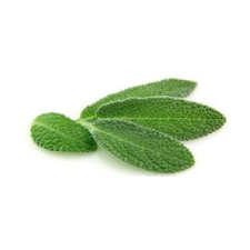 Illóolaj Pipere Orvosi zsálya 10ml illóolaj
