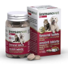 Immunovet Pets ízesített immunerősítő tabletta 30 db