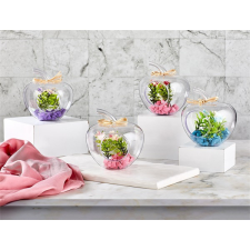  IRIS E5585 dekoráció művirággal búrában 12x14cm party kellék