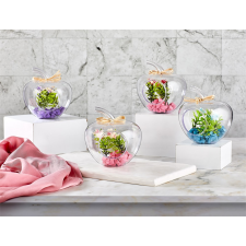 IRIS E5585 dekoráció művirággal búrában 12x14cm - Többféle (E5585) dekoráció