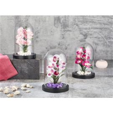 IRIS E5636 ORCHIDEA dekoráció művirággal búrában 11x18cm (IRIS_E5636) dekorációs kellék