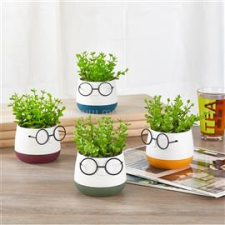 IRIS E5720 szemüveges fej dekoráció művirággal kétszínű cserépben 9x14cm (IRIS_E5720) dekorációs kellék