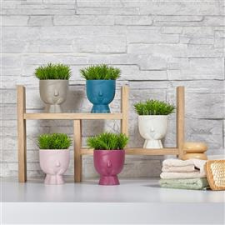 IRIS E5738 fej alakú dekoráció művirággal cserépben 9x14cm (IRIS_E5738) dekorációs kellék