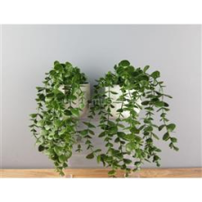 IRIS E5810 dekoráció művirággal cserépben 16x26cm (IRIS_E5810) dekorációs kellék