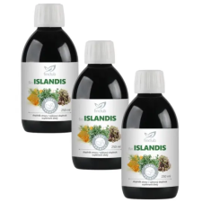  Islandis gyógynövénykivonat szirup 3 db-os csomag (3x250 ml) vitamin és táplálékkiegészítő