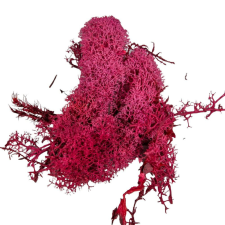  Izlandi moha piros 25dkg/csom dekorációs kellék