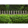 Jago Táblás kerítésbe fűzhető fa kerítés és buxus kép 250x180 cm 19 cm-es szalagból műanyag belátásgátló szélfogó