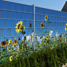 Jago Táblás kerítésbe fűzhető napraforgós kép 250x180 cm 19 cm-es szalagból műanyag belátásgátló szélfogó építőanyag