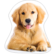 Javoli Kutyás Golden Retriver formapárna, díszpárna 35x35 cm lakástextília