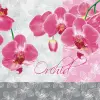 Javoli Orchidea Romantic szalvéta 20 db-os 33x33 cm