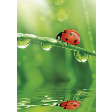 Javoli Természet Ladybug A/4 gumis mappa mappa