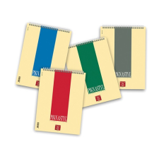 Jegyzettömb spirálos Pignastyl A/4 sima 60 lapos jegyzettömb