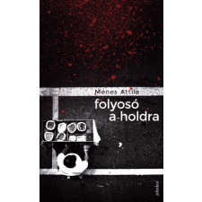 Jelenkor Folyosó a holdra szépirodalom