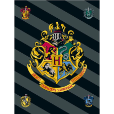 Jerry Fabrics 067 Harry Potter Fleece gyerek takaró, 100×150 cm lakástextília