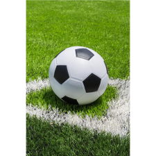 Jerry Fabrics Baby Fleece Blanket Football 100 × 150 cm (03117-DEKAFOTBALA) lakástextília